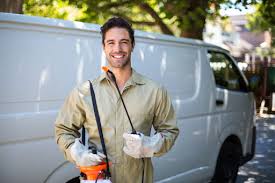 Lawn Pest Control in Valinda, CA